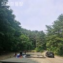 지동길 | 포천캠핑장 잣숲캠핑장 6월 캠핑 후기