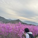 양리 경로당 | 봄진달래 명소 대구 <비슬산> 등산 후기 | 비슬산등산코스비교(휴양림in 유가사out)