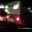 부산여객 이미지