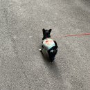 왜불러노래연습장 이미지