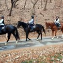 이순신승마센터 이미지