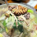 파동버섯칼국수 이미지