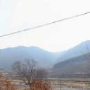 숲속마을 태양광발전소 이미지