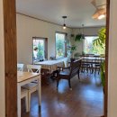 4269 | 태안 안면도 감성카페 멜로우데이즈🌿 식물 가득한 플랜테리어 카페 후기