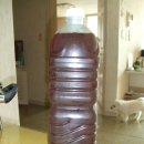 약초동물병원 이미지