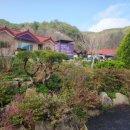 산아래물가에서 이미지