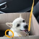 행복드림 동물병원 이미지