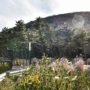 마중오름 이미지