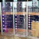 마멘치사우루스 | 안면도 쥬라기박물관 아이와 여행 입장료 할인정보