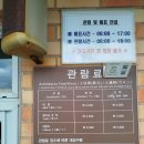 성산읍 삼달1리 마을안(삼거리) | 성산일출봉 올레길 길이 정상 분화구 높이 우뭇개해안 뷰 유료구간 무료구간