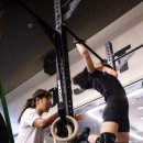 박스거제