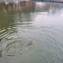 양벌낚시터 이미지