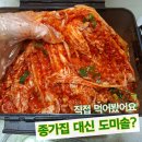 도미솔 포기김치 10kg 솔직 후기 | 김치품평회 수상 김치, 김치 인정!