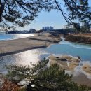 청간정 카센타 이미지