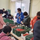 봉산면 복지회관 이미지