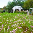 에코중앙로R 이미지