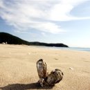 불영계곡2전망대 이미지