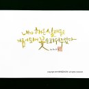 수채캘리그라피 이미지