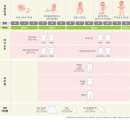 교보 노블리에 포유콘서트 마음 | 롯데콘서트홀 클래식 공연! &#39;2025 포유콘서트&#39; + 롯데월드몰 유니클로 신생아 &#39;바디슈트&#39; 사기