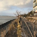 순천만에코비치캐슬 이미지