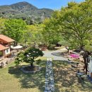 소천월가 이미지