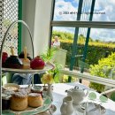 티팰리스 이미지