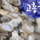 벌교수산 이미지