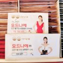 다이어트보조제 모드니에 후기!