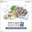 무조건안전