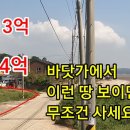 13억에서 4억으로 &#39;뚝&#39; 바닷가에서 이런 땅 보면... 이미지