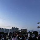 대구 본리동 달서시장 야장 맛집 '대끼리왕족발' 포장 후기