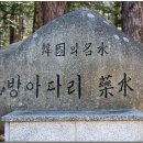 평창 밀브릿지및 발왕산 스카이워크 둘러보기 이미지