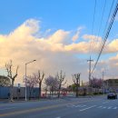 NR-5[영서로]-하-77 | 푸릇푸릇 한 봄 강원도 춘천 가볼 만한 곳 3곳 춘천 여행 코스 1일차/1.5닭갈비/춘천카누