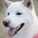 진솔건강원 - 옥천군 지전길 24 | 진솔건강원