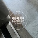 카니발 차량 내부 냄새, 원인은 매트 속 오염물?! – 세차1번지 탈취 후기