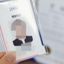 종로애견미용 이미지