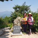 현대사슴목장 이미지