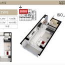 스테이 하운드 이미지