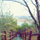 대부해솔길 2코스 이미지