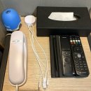 세븐일레븐 부산기장조은점 | 부산 기장 가성비 호텔추천_더뮤즈호텔(The Muse...Residence) 내돈내산 3인 디럭스 트윈룸, 조식 후기