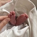 나은병원 신관 3층 | 본느마망산후조리원 VVIP룸 2주(13박 14일) 이용후기(룸컨디션, VIP룸비교, 가격, 식사, 마사지...