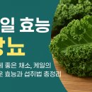 케일 - 양천구 목동중앙북로16길 7-9 | 케일