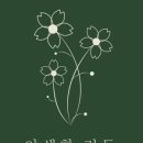에델바이스화원 이미지