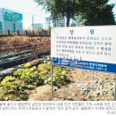 여주-1071 이미지