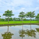 그린밸리 이미지