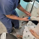 24시SNC동물메디컬센터 이미지