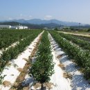 은별농장 이미지