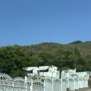청도로 | 내돈내산 부산근교 청도 어썸데이풀빌라
