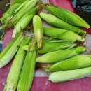 광성농장 이미지