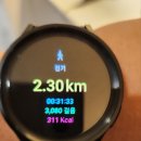 고도17 | 한달 6키로, 17키로 감량하는 고도비만 다이어트 후기